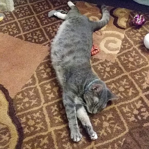 Meet your Posher, Vanessa - Picture 4 of 8